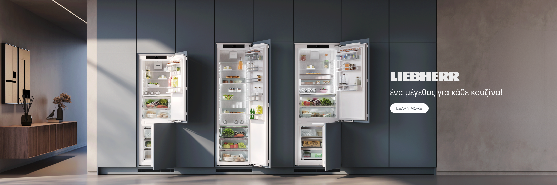Panasonic/WEB  BANNERS SCANDIA & PHILENEWS (1).png